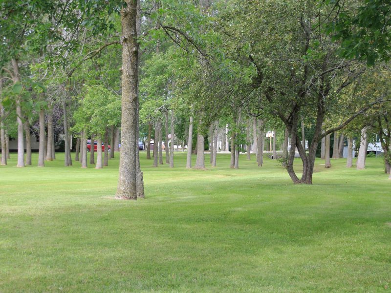 About Us Kenron Estates About Us Kenron Estates