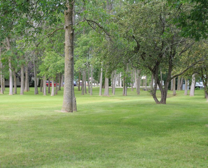 Kenron Community Park